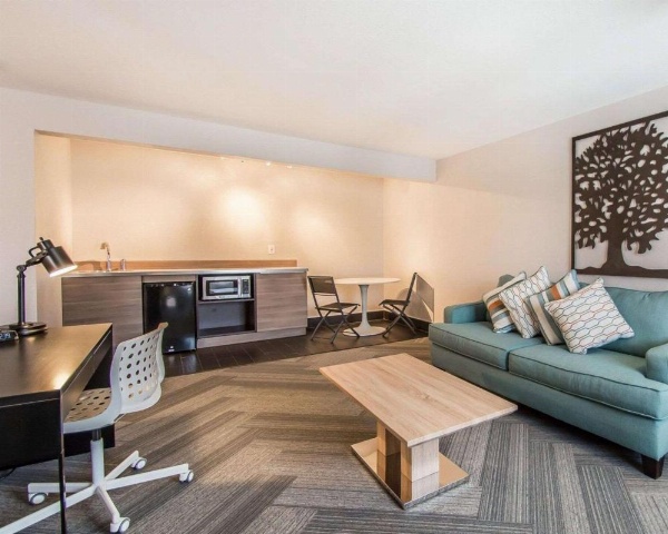 Quality Inn & Suites Kissimmee image 8